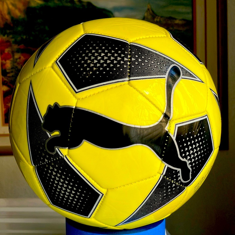 Puma soccer ball size 5